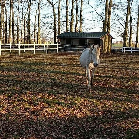 Villa La Hetraie Vergetot Esterno foto