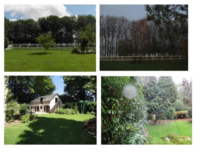 Villa La Hetraie Vergetot Esterno foto